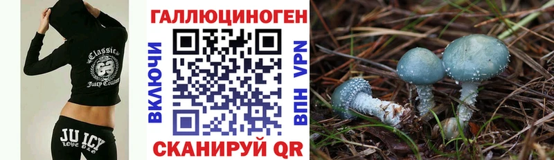дарнет шоп  Лабытнанги  Галлюциногенные грибы Psilocybe 