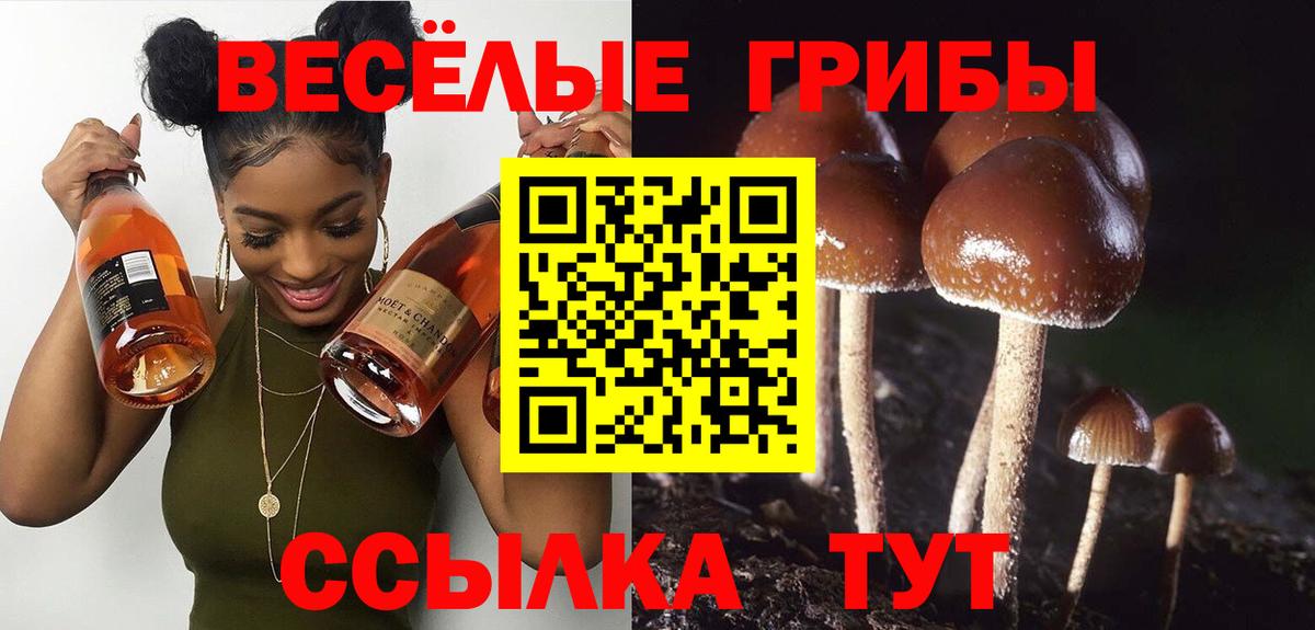 Лабытнанги  Галлюциногенные грибы MAGIC MUSHROOMS  Вход с VPN  Галлюциногенные грибы мицелий 